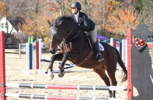Equestrian Wraps Up Weekend of Competition at Holly Hill Show