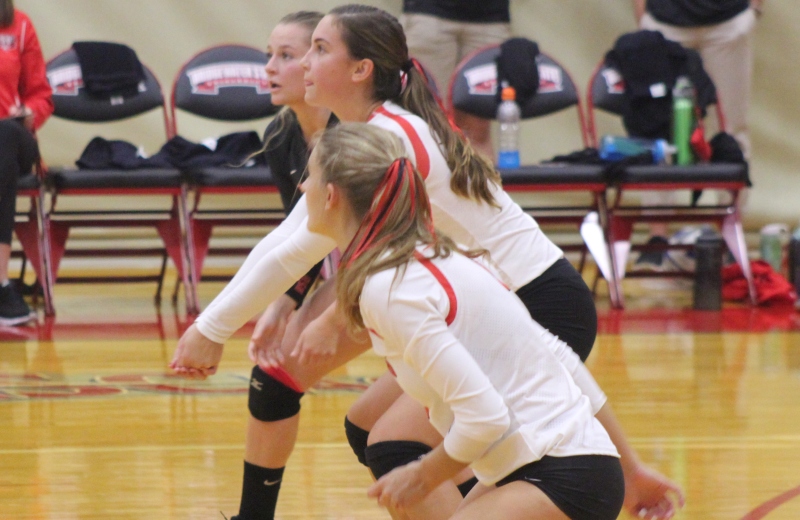 Volleyball Outlasts Elms, 3-2