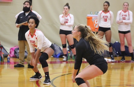 Volleyball Drops 3-0 Decision to Westfield State
