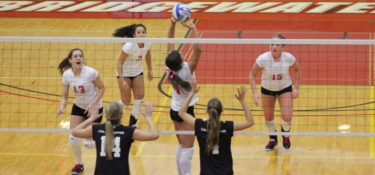 Volleyball Posts 1-2 Mark at Old Westbury Panther Invitational