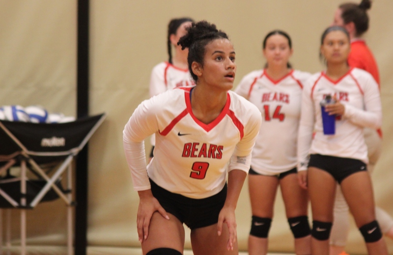 Volleyball Sweeps Past Dean, 3-0
